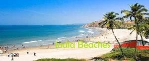 141203114341Goa-beach-India